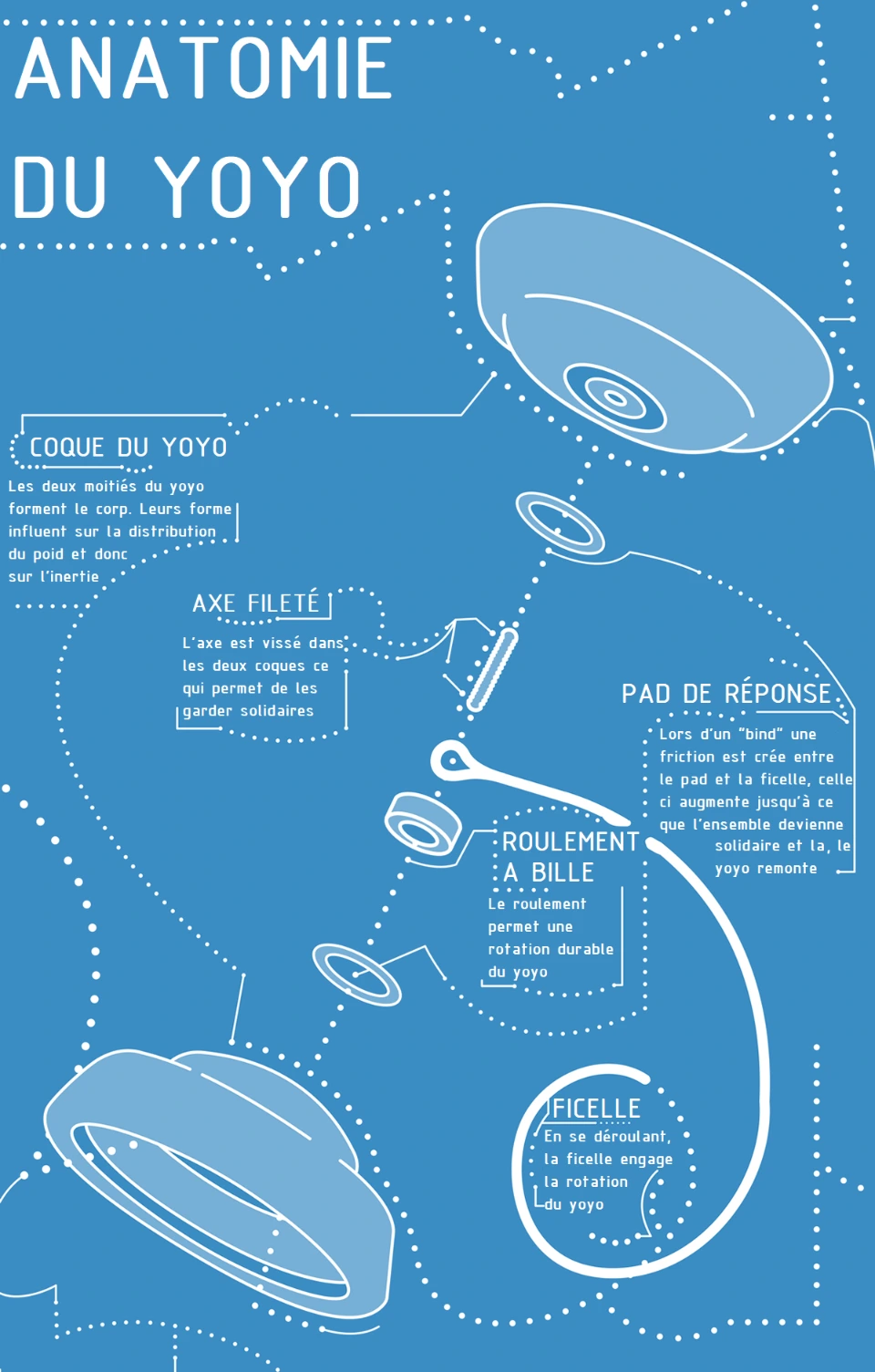 Anatomie d'un yoyo